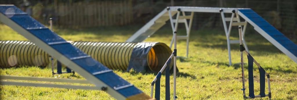 cours d’agility éducatif pour chien sur terrain sécurisé à cestas