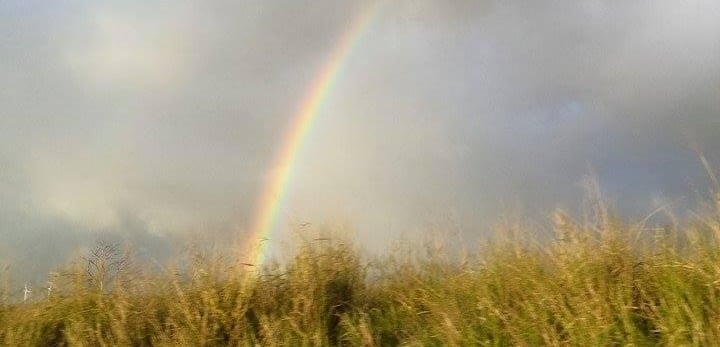 Rainbow of Hope