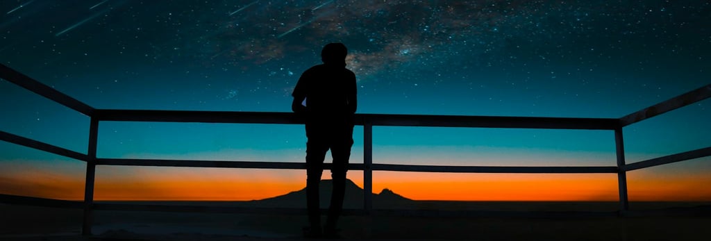 man looking agt sunset and stars