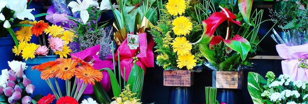 dried flower wholesaler