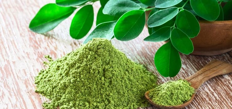 Poudre de moringa au Maroc, riche en fer et vitamines