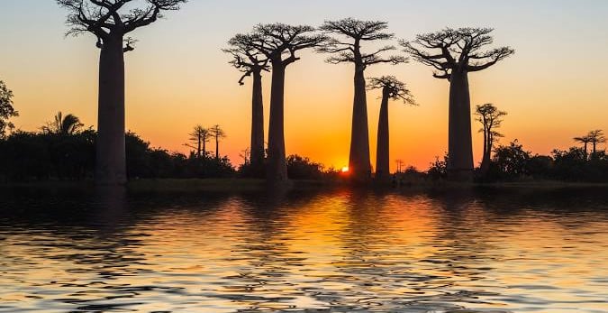 Morondava coucher de soleil mariage Madagascar