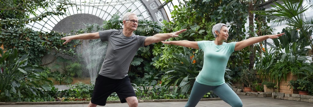 CritiqoNet article on Fitness programs for older adults