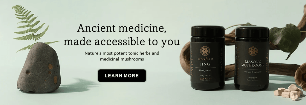 introduction to medicinal mushrooms