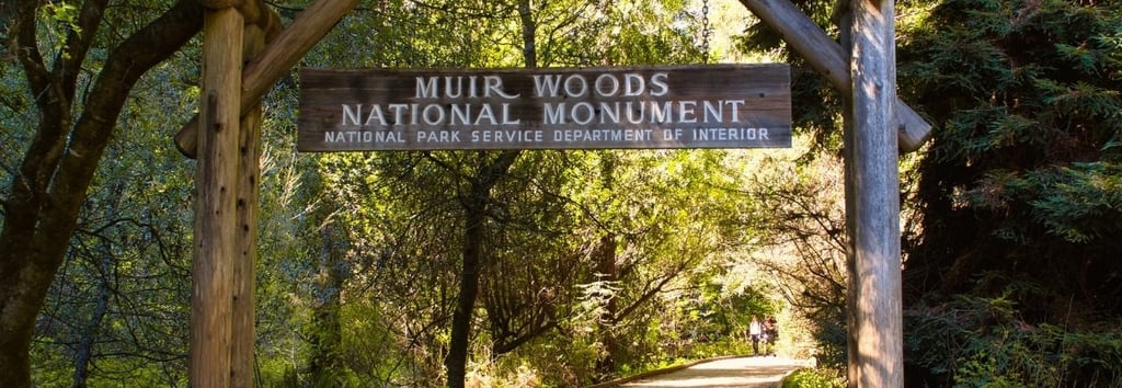 Placa de entrada do Muir Woods National Park cercada por sequoias gigantes, Califórnia.