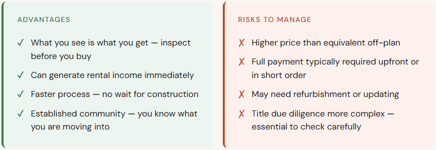Red Sea property investment