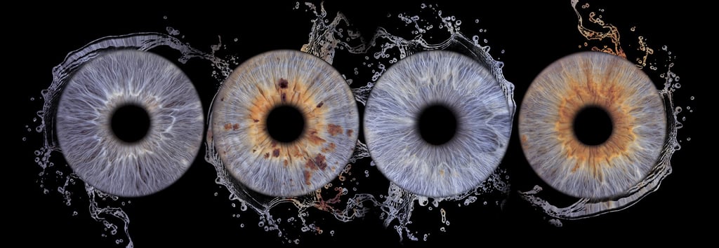 photo famille iris Bordeaux