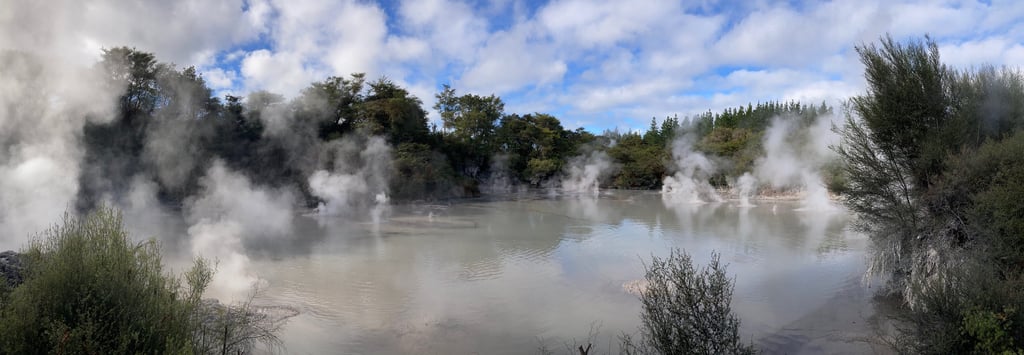 Mud Pool Rotorua