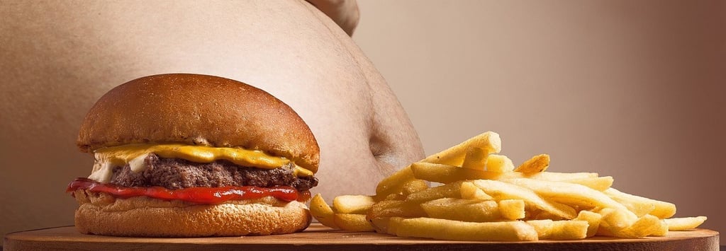 Unhealthy Hamburger and fries cause obesity
