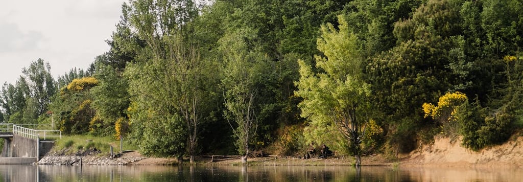 5 raisons de visiter une ferme cannabicole dans le Gers , ferme de belon