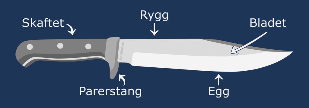 Illustrasjon av en fastbladkniv som viser de forskjellige delene av kniven som egg skaft blad rygg