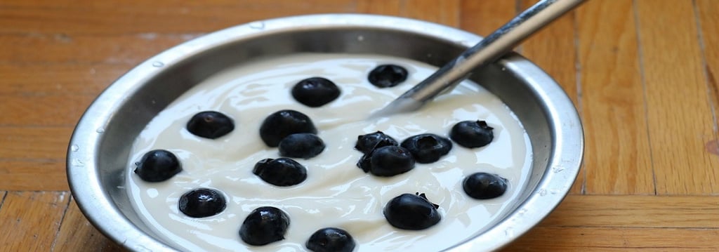 Yoghurt and Berries in a bowl