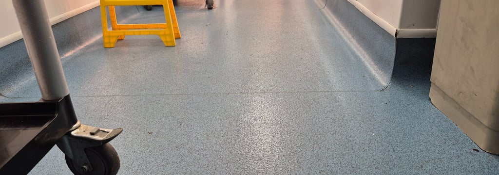 Sheet vinyl with cap and coving