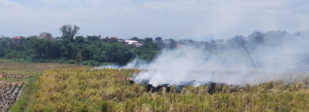 Quera rastrojos arroz Bali