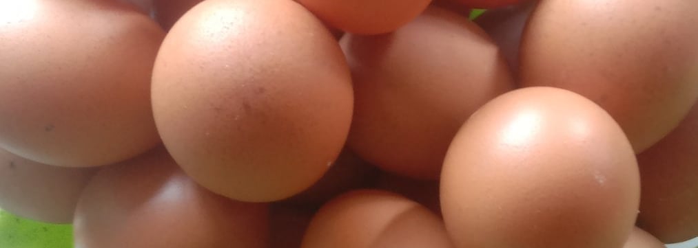 brown chicken eggs, brown chicken egg, egg shell brown