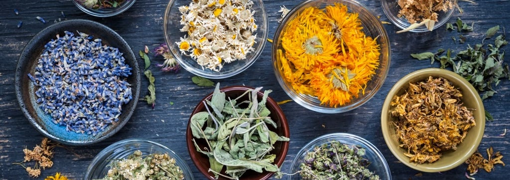 dna testing herbal adulteration