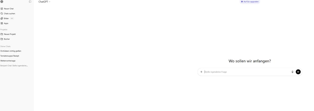 Screenshot der ChatGPT-Startseite mit dem Eingabefeld: Stelle irgendeine Frage
