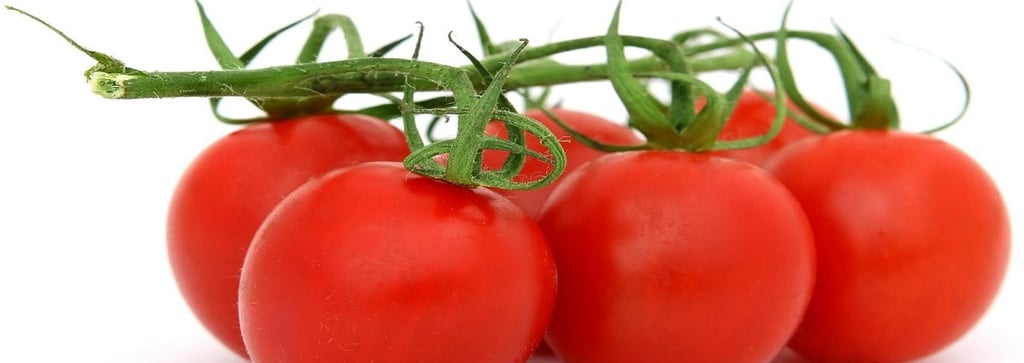 Tomatoes
