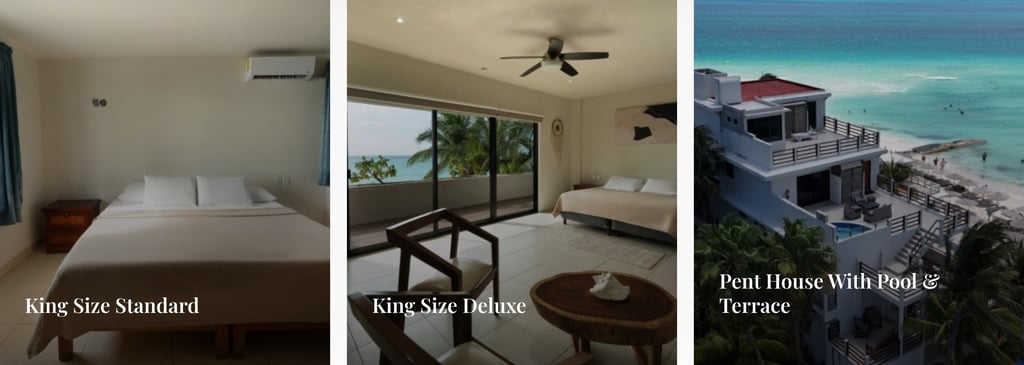 chichis charlies room types