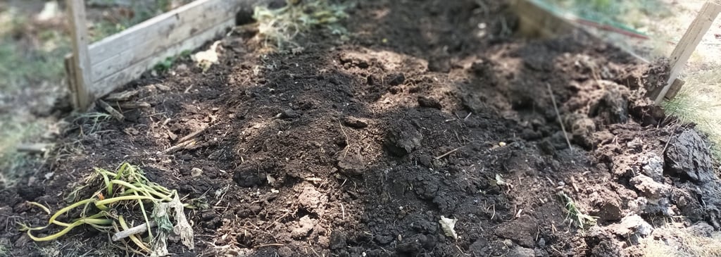 Our devastated muck heap