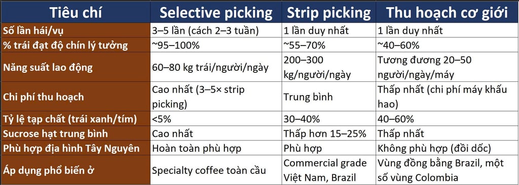 tiêu chí phân loại phương pháp hái cà phê