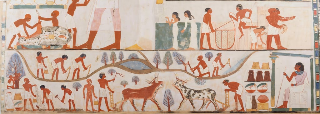 Intellectual Legacy: Mathematics, Medicine, and Scientific Achievements of the Egyptian Empire