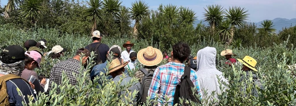 Estudiantes en una plantación de arándanos para un recorrido guiado