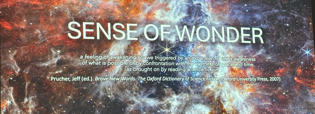 Kristof Timmerman©16mag