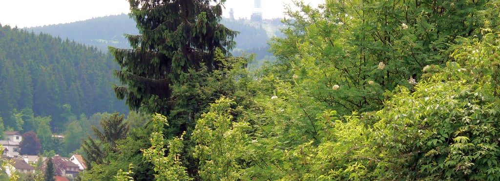 Feldbergblick vom Balkon