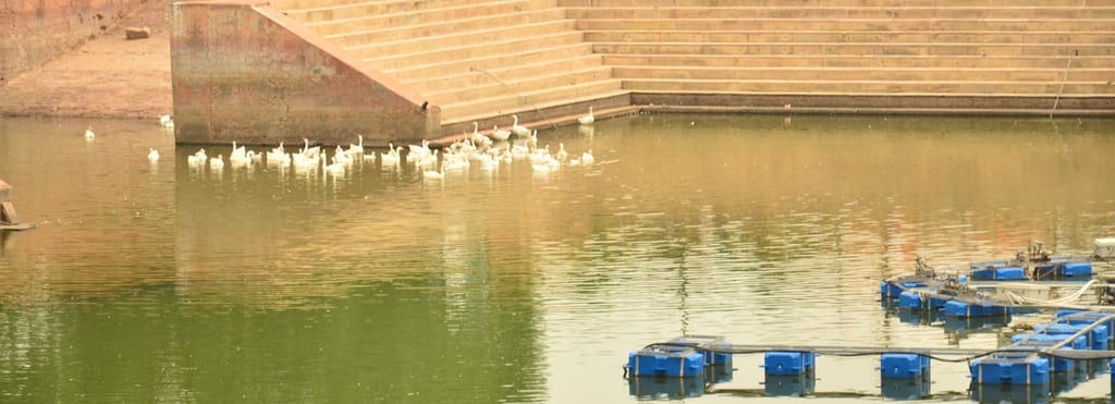 kusum sarovar Real Estate Projects - Verified Property Listings