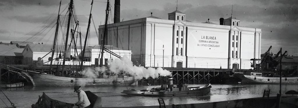 Frigorífico La Blanca, de Federico Cook