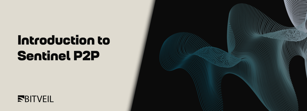Introduction to Sentinel P2P