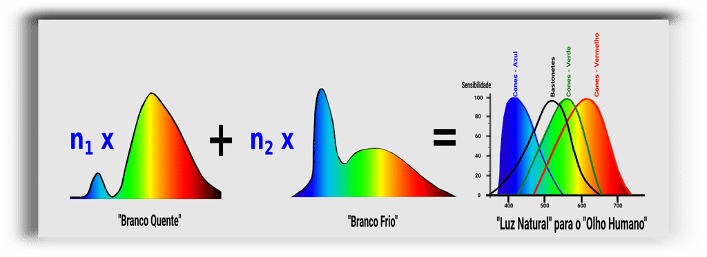 Proporção entre as quantidades dos LEDs branco e frio para se chegar a Luz Natural - ARTEFAKTUS