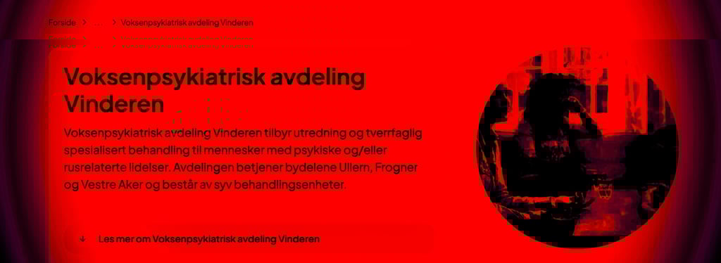 Voksenpsykiatrisk avdeling Vinderen, diakonhjemmet sykehus, Ragnar Nesvåg, Statsforvalteren oslo