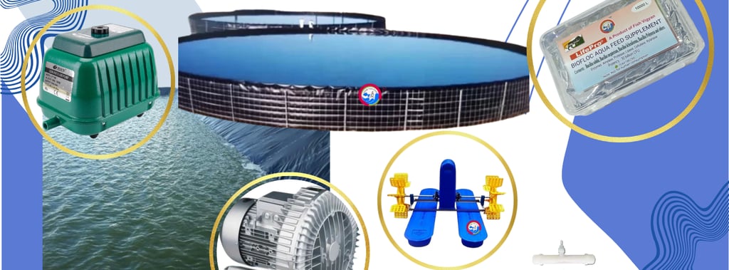About Us – Empowering Sustainable Growth Through Expert Fish Farming Solutions
