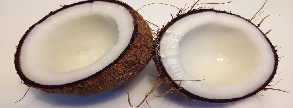 Coconut
