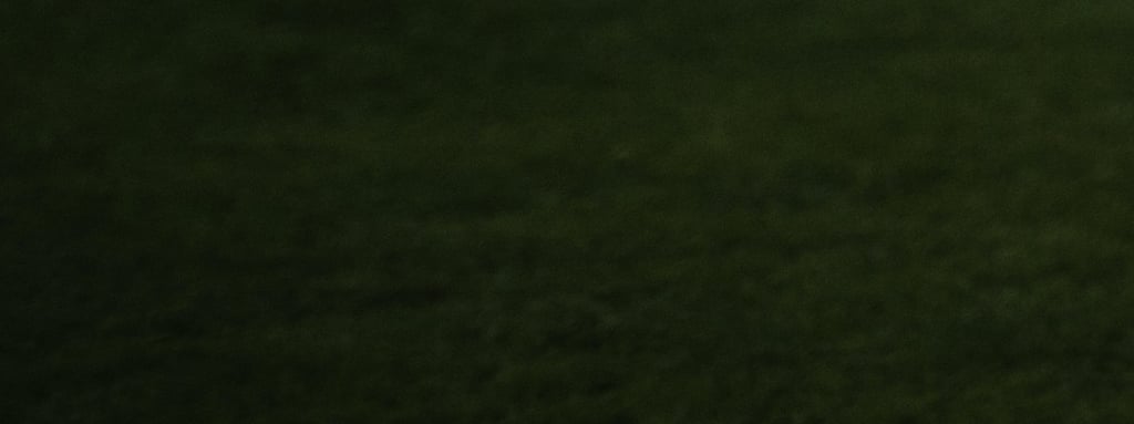 labai tamsios žalios spalvos fonas