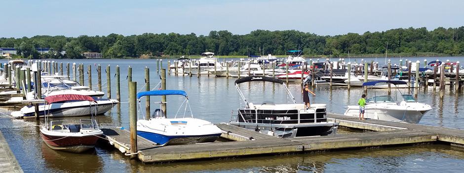 The marina filled with boats