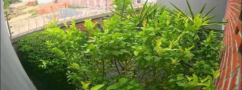 cercas electrificadas en León Gto instalación en barda para protección de hogar