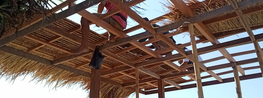 a person installing a reed roof