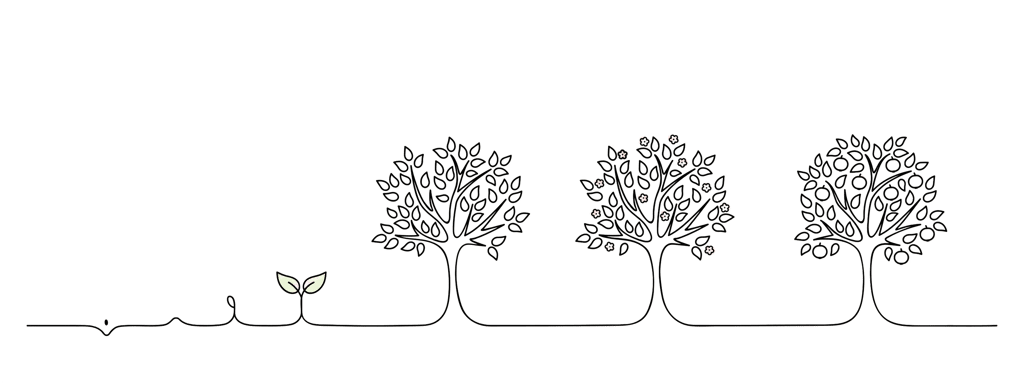 arbre renaissance evolution germination fleurir grandir croitre travail thérapies brèves