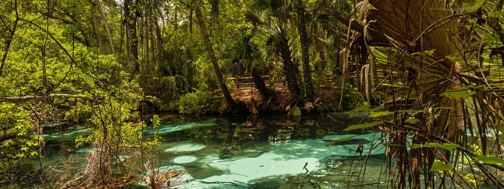 beautiful Rainbow Springs in Florida