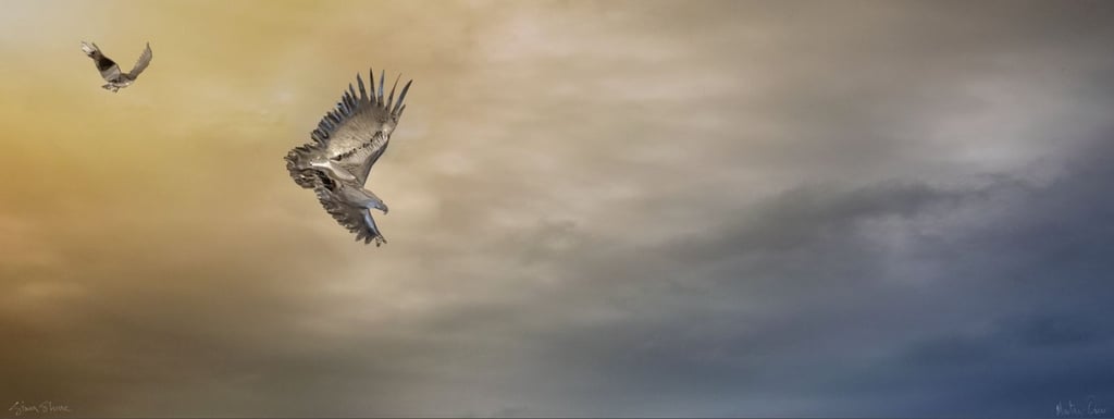 Two sculpted African fish eagles soar against a moody, cloud-filled sky transitioning from warm golden hues to cool blue tone