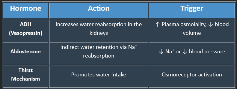 Table water balance regulation