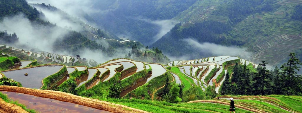 China well know history Geography Humanities Economy Top of China