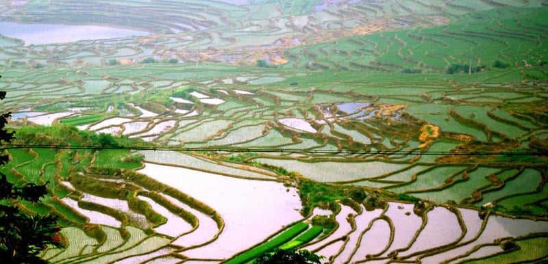China well know history Geography Humanities Economy Top of China