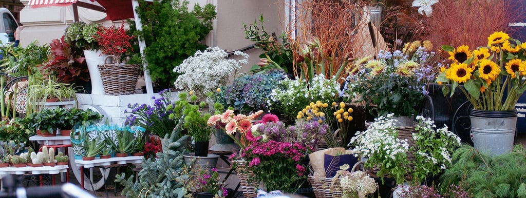dried flower wholesale