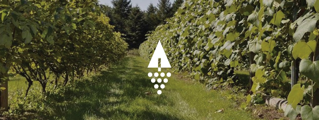 Vineyard logomark design for a minnesota native winery