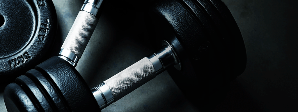 Como montar seu treino