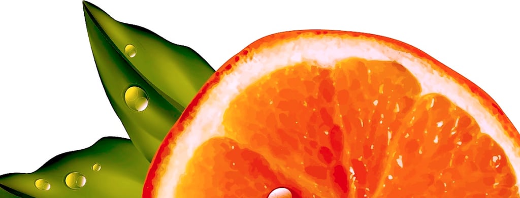 King Organic Clean, Orange  Icon